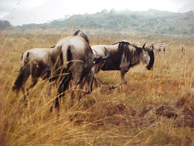 agri.jpg