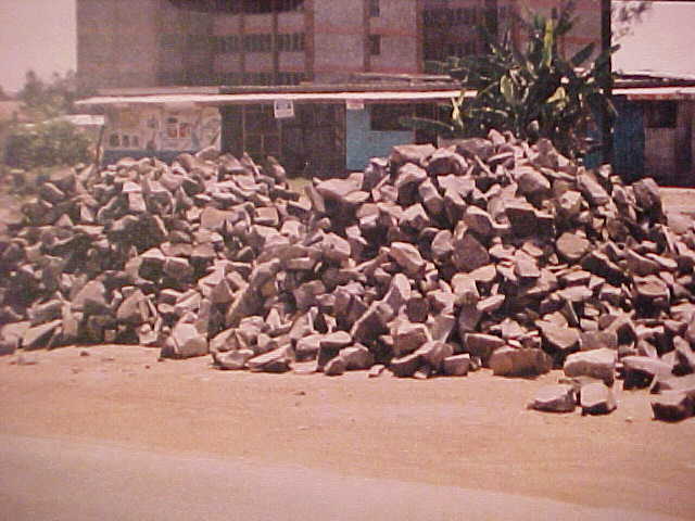 chuout1.jpg